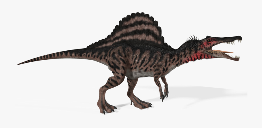 Transparent Spinosaurus Clipart - Spinosaurus Aegyptiacus, Transparent Clipart