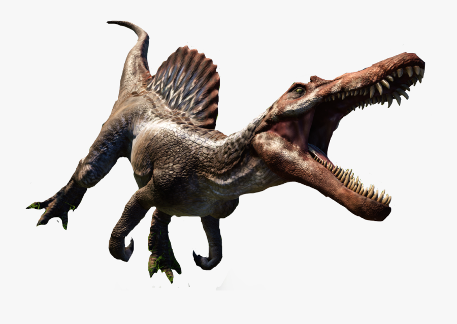 #spinosaurus #dinosaur #freetoedit - Velociraptor, Transparent Clipart
