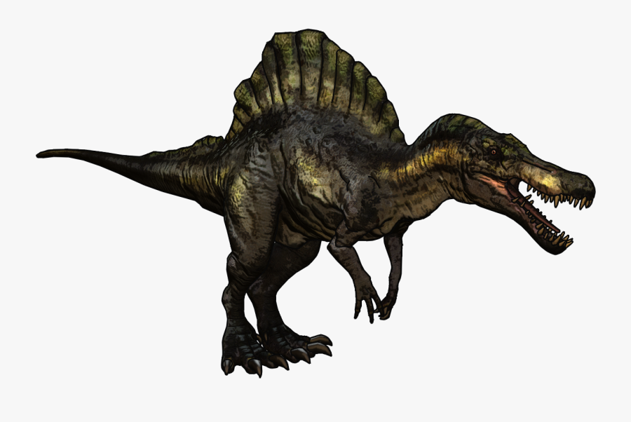 The Spinosaurus Is One Of 10 Dinosaurs In Orion - Spinosaurus Dinosaurs, Transparent Clipart