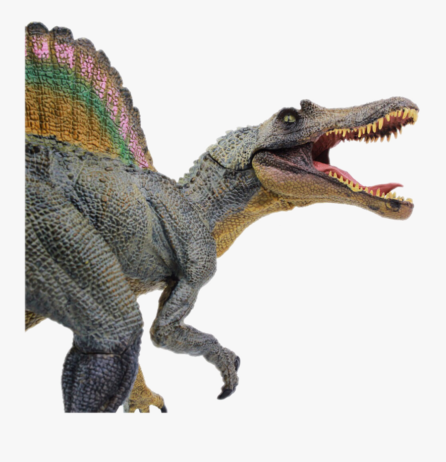 #spinosaurus #freetoedit - Dinosaur, Transparent Clipart