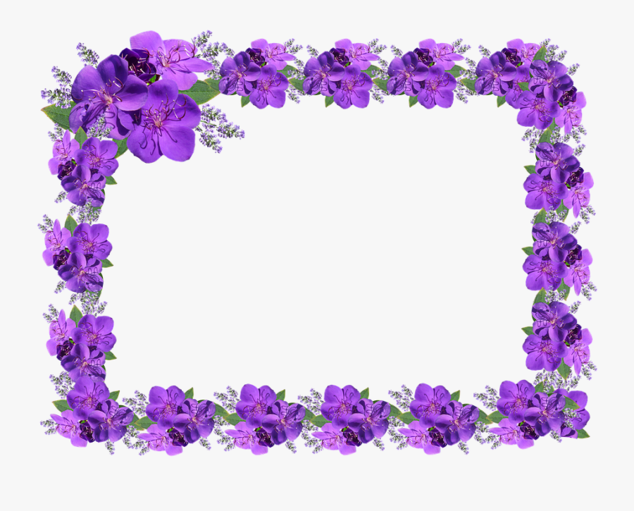 Frame, Border, Floral Purple - Bingkai Bunga Mawar Ungu, Transparent Clipart