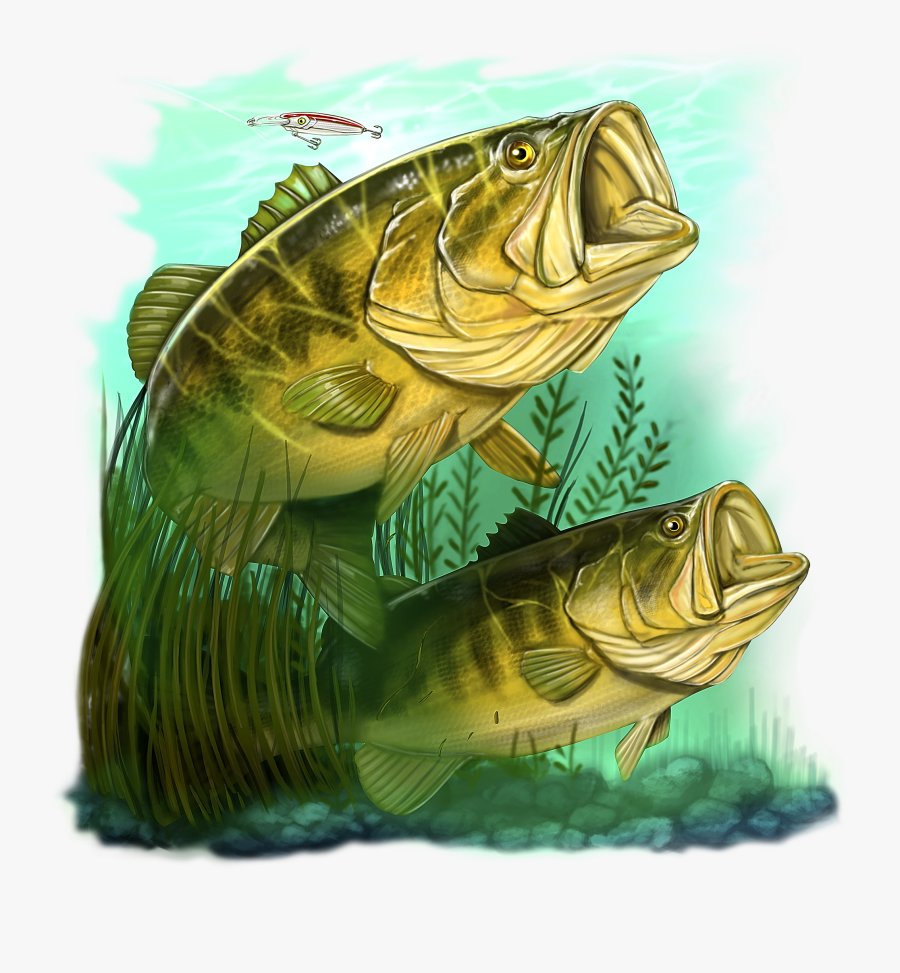 Large Mouth Bass Png - Quilt Fabric Fish Panel, Transparent Clipart