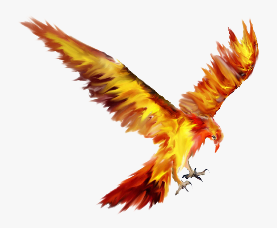Phoenix Bird Tattoo Sketch Drawing - Fawkes Png, Transparent Clipart