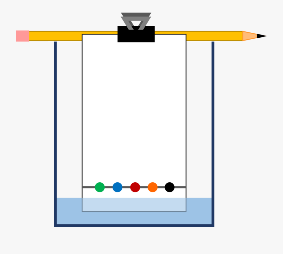 Chromatography, Transparent Clipart