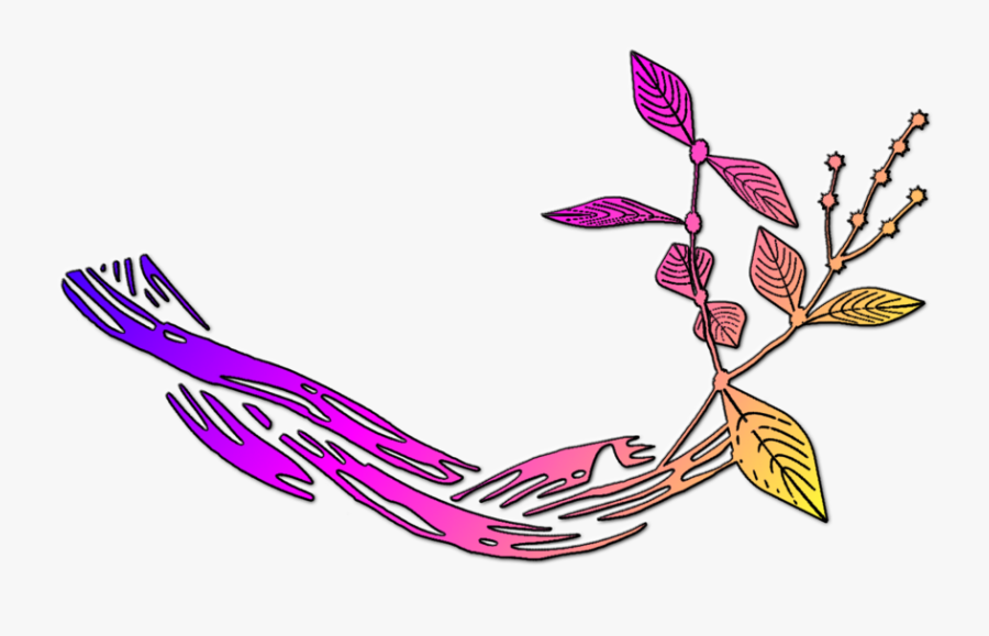 Ayahuasca, Transparent Clipart