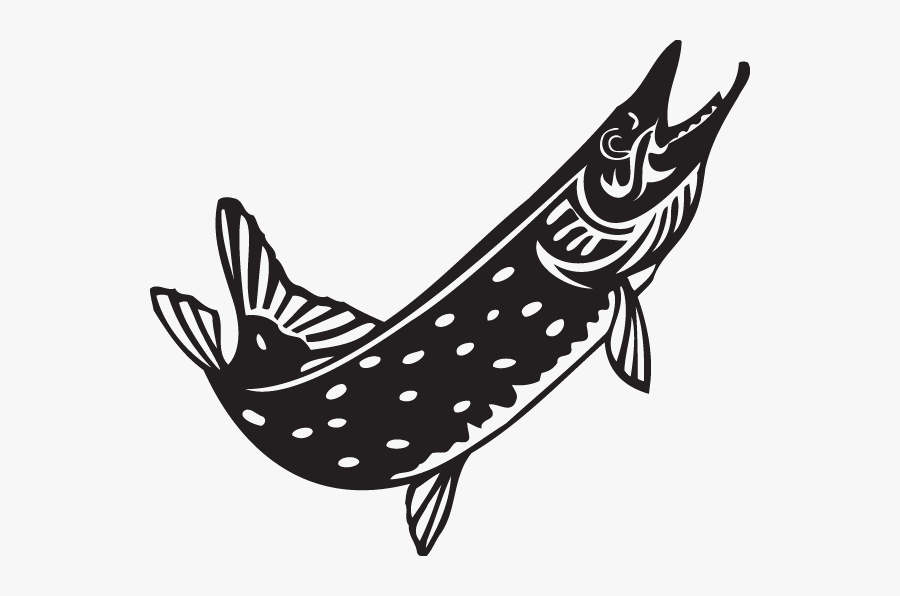 Northern Pike Black And White, Transparent Clipart