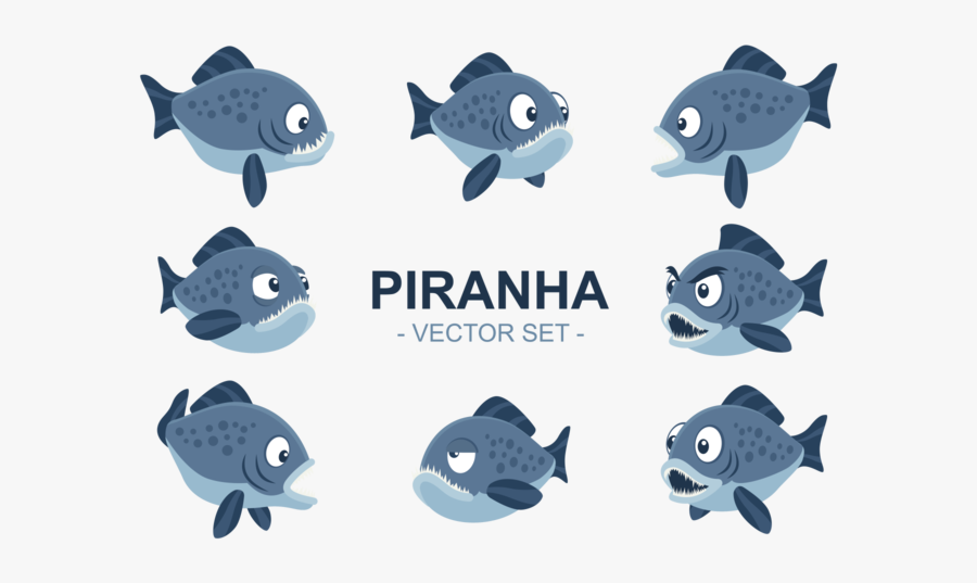 Coral Reef Fish, Transparent Clipart