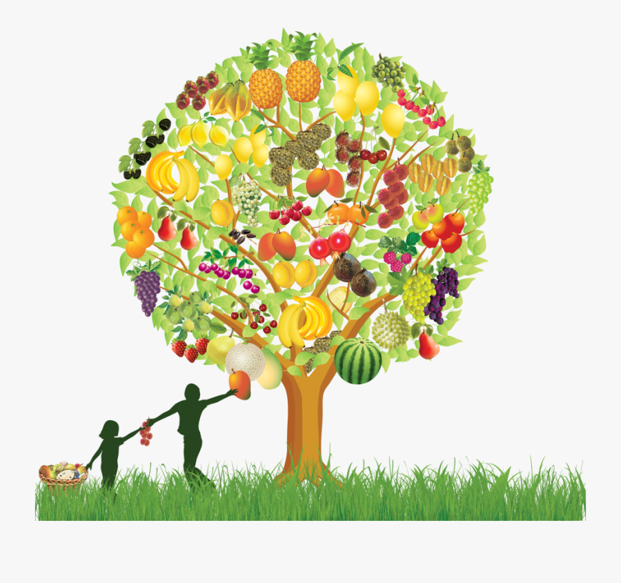 Tree Cliparts Png Fruit - Clipart Mango Fruit Trees, Transparent Clipart