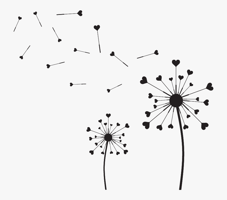 Common Dandelion Image Silhouette Drawing Petal - Hinh Anh Bong Bo Cong Anh, Transparent Clipart