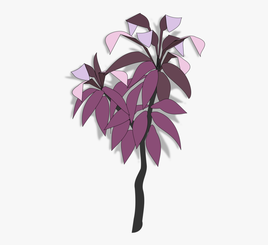 Plant,flower,leaf, Transparent Clipart