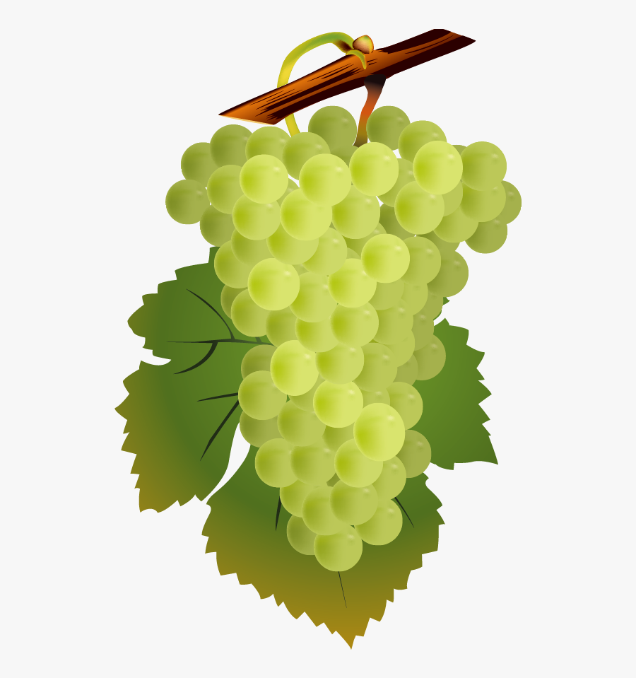 Wine Vector, Transparent Clipart