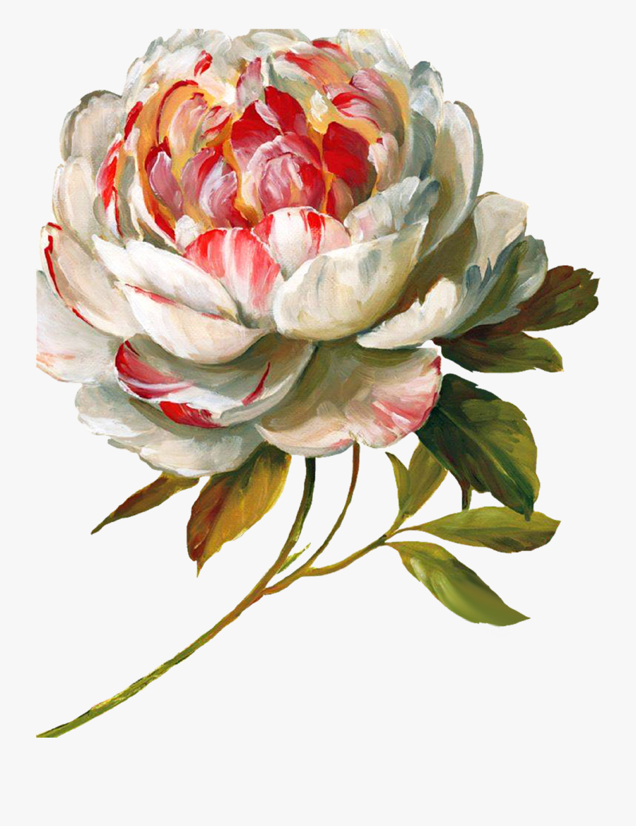 Clip Art Art Painting Decoupage Floral - Marie Jo Schwarz Quotes, Transparent Clipart
