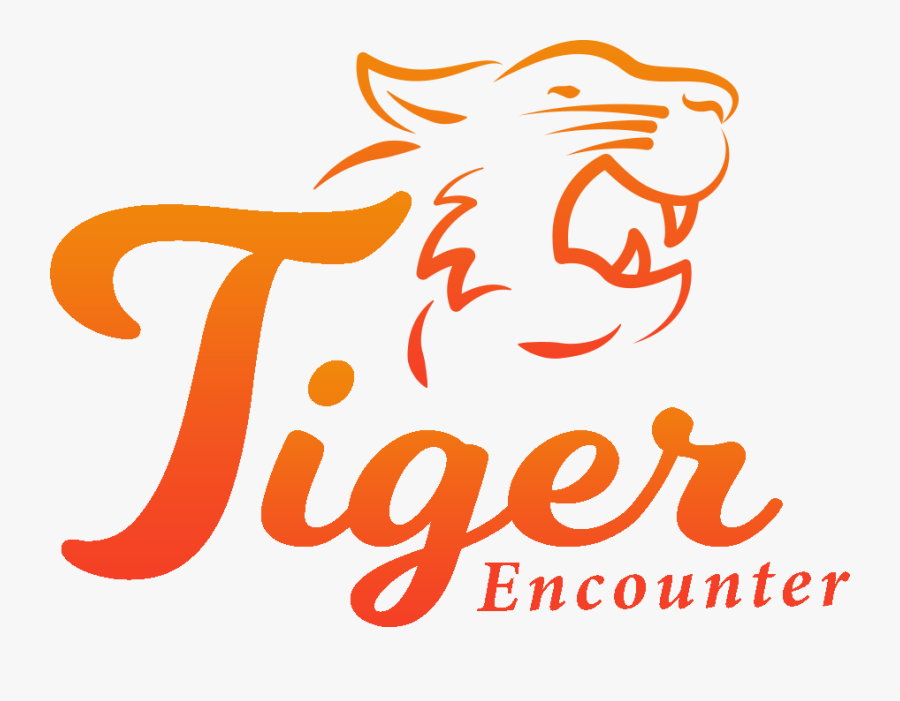 Tiger Encounter - نوفا انت فى القمة, Transparent Clipart
