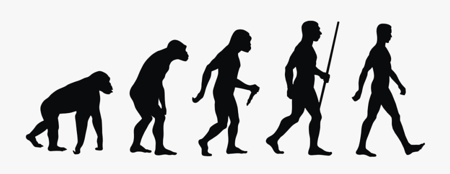 Human Evolution Png - Monkey To A Man , Free Transparent Clipart