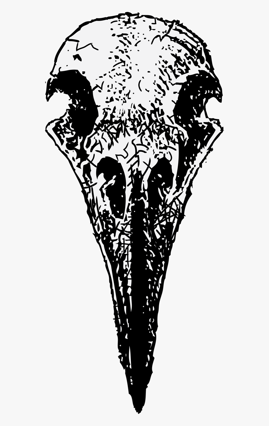 Transparent Bird Skull Png - Raven Skull Drawing Open, Transparent Clipart