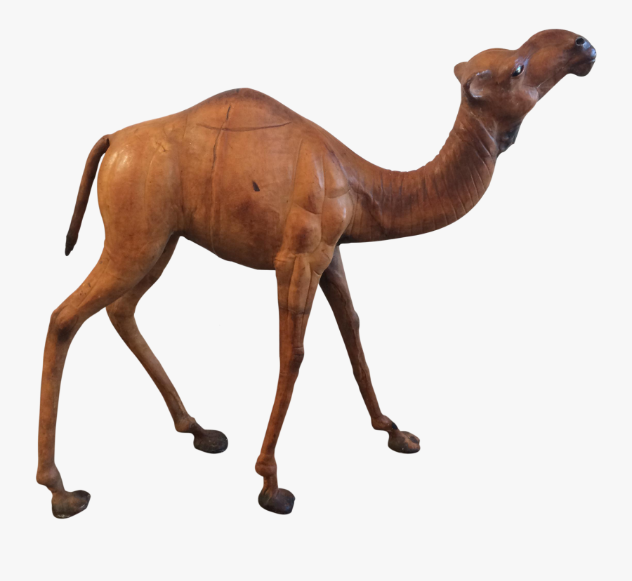 Vintage Leather Statue Chairish - Arabian Camel, Transparent Clipart