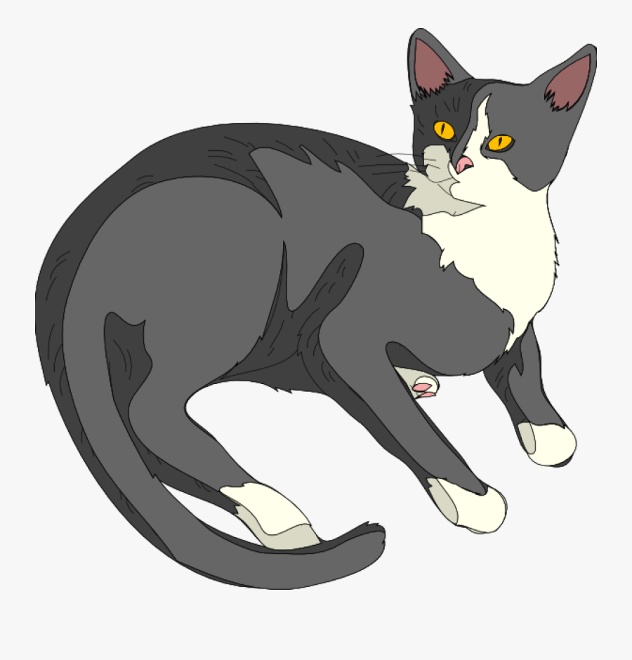 Gatto Cat 3 Clip Art - Cat Realistic Clipart , Free Transparent Clipart -.....