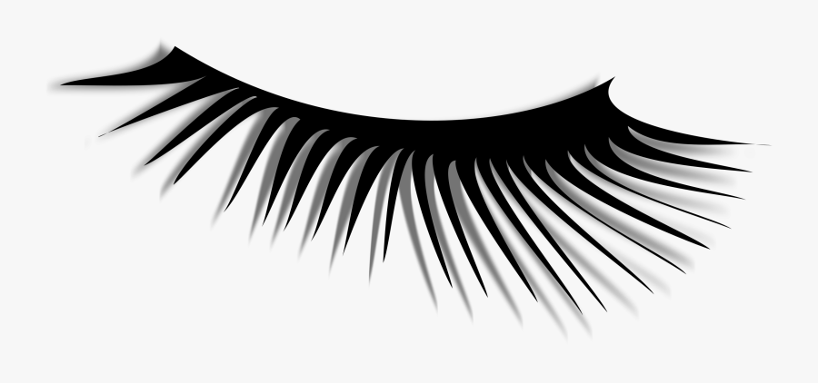 Eye Lash Images - Bulu Mata Vektor Png, Transparent Clipart