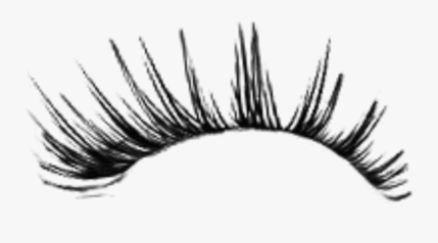 Image Freeuse Eyelash Clipart Tumblr Transparent - Transparent Background Eyelash Png, Transparent Clipart