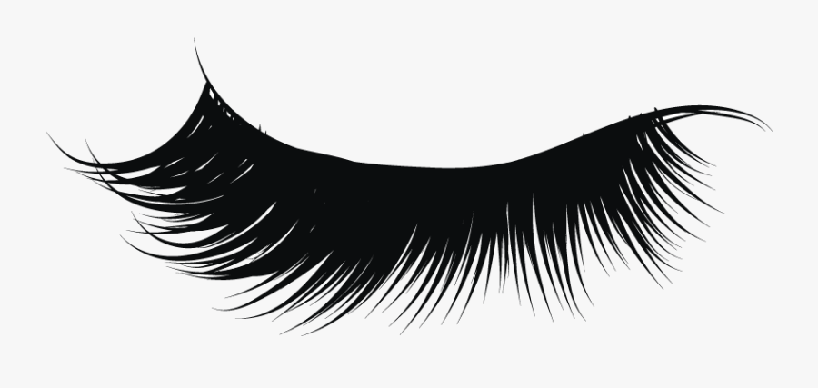 Download Clip Art Collection Of Free Vector - Transparent Eyelashes ...