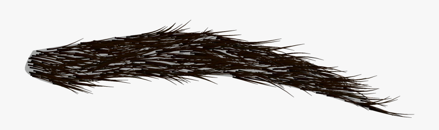 Bushy Eyebrow Transparent Png - Cejas Png Transparente , Free