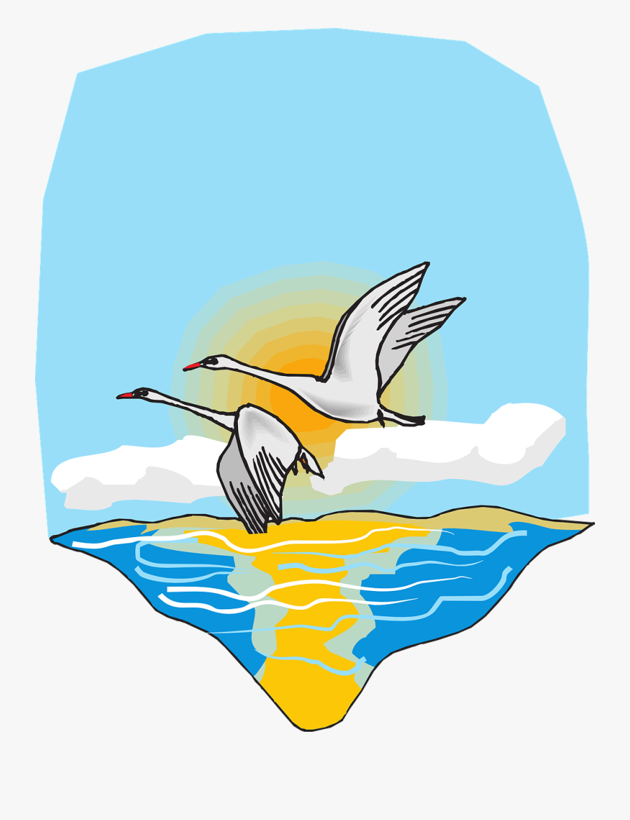 Birds Flying Geese Flight Blue Water Sea Ocean - His First Flight Class 10 In Drawing, Transparent Clipart