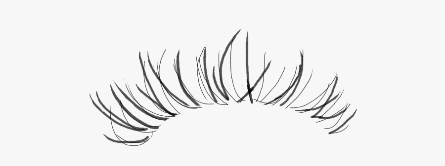 #eyelashes #eyelash Flip These If U R Using For The - Line Art, Transparent Clipart