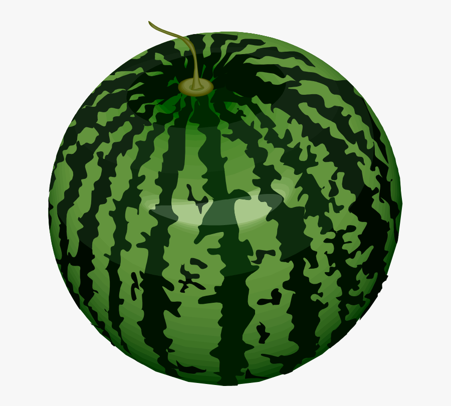 Watermelon - Draw Green Fruits And Vegetables, Transparent Clipart