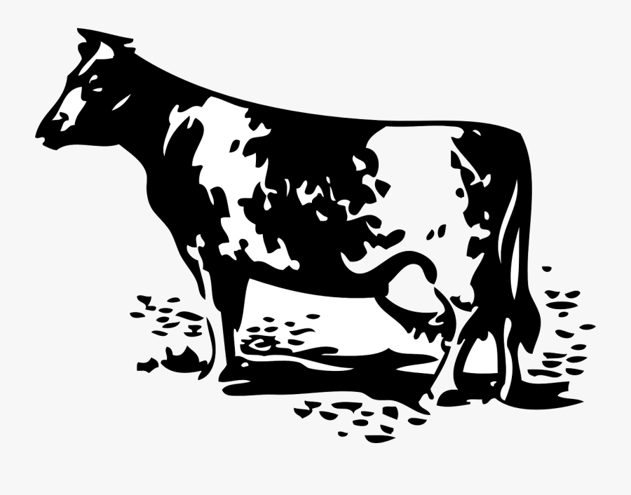 Dairy Farm Black And White, Transparent Clipart