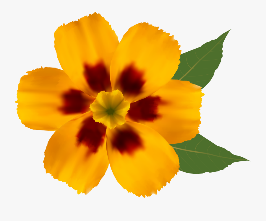 Flower Png Clipart Image - Colorful Flower Design Drawing, Transparent Clipart