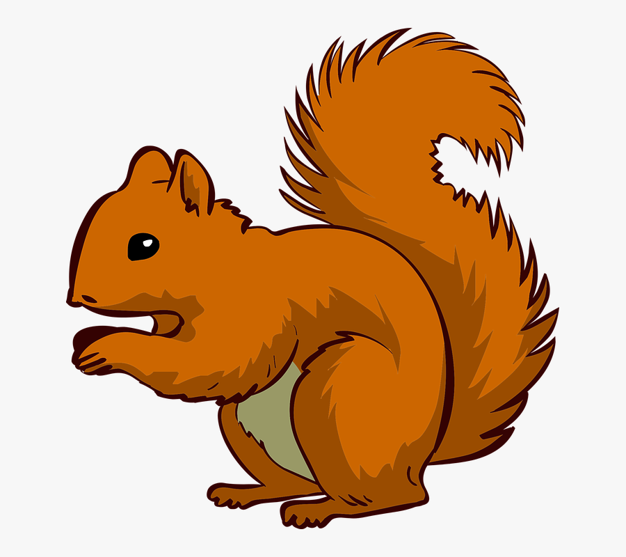 Squirrel,clip Art,cartoon,eurasian Red Squirrel,tail,animal - Transparent Background Squirrel Clipart, Transparent Clipart