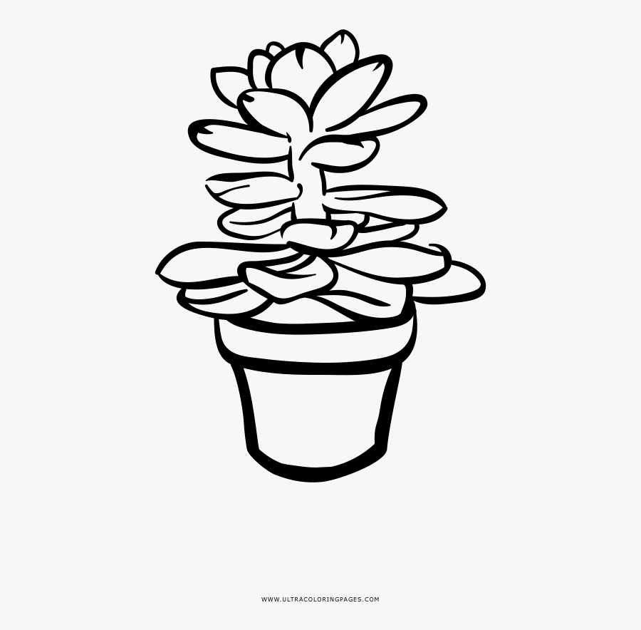 Succulent Coloring Page - Line Art, Transparent Clipart