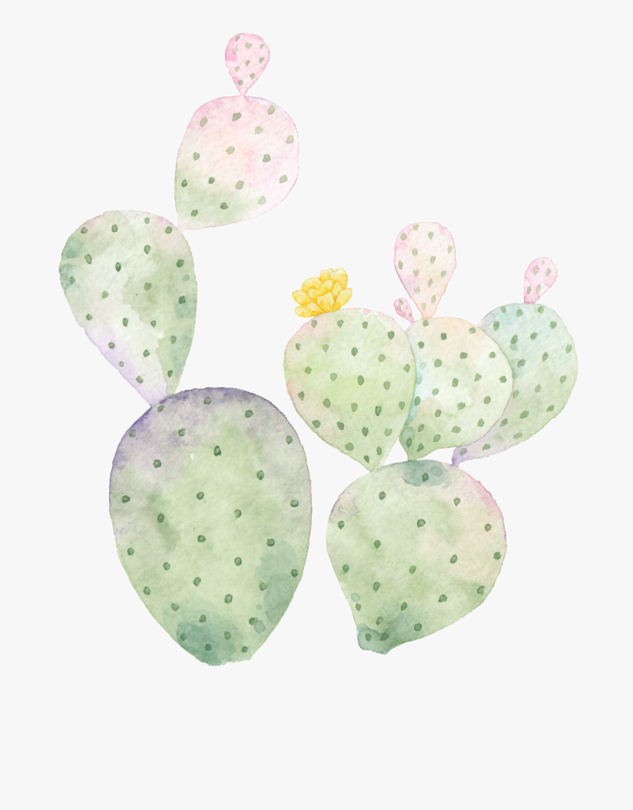 Hand Painted Cactus Png Transparent - Barbary Fig, Transparent Clipart