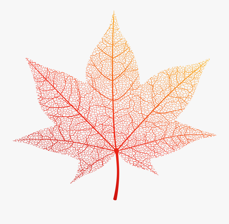 Transparent Orange Leaf Png - Transparent Autumn Leaf Png, Transparent Clipart