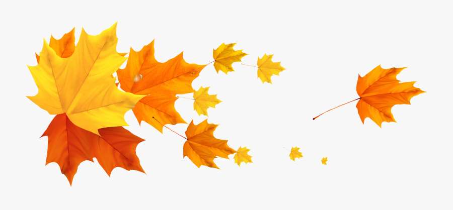 Thanksgiving Clipart Divider - Leafs Png, Transparent Clipart