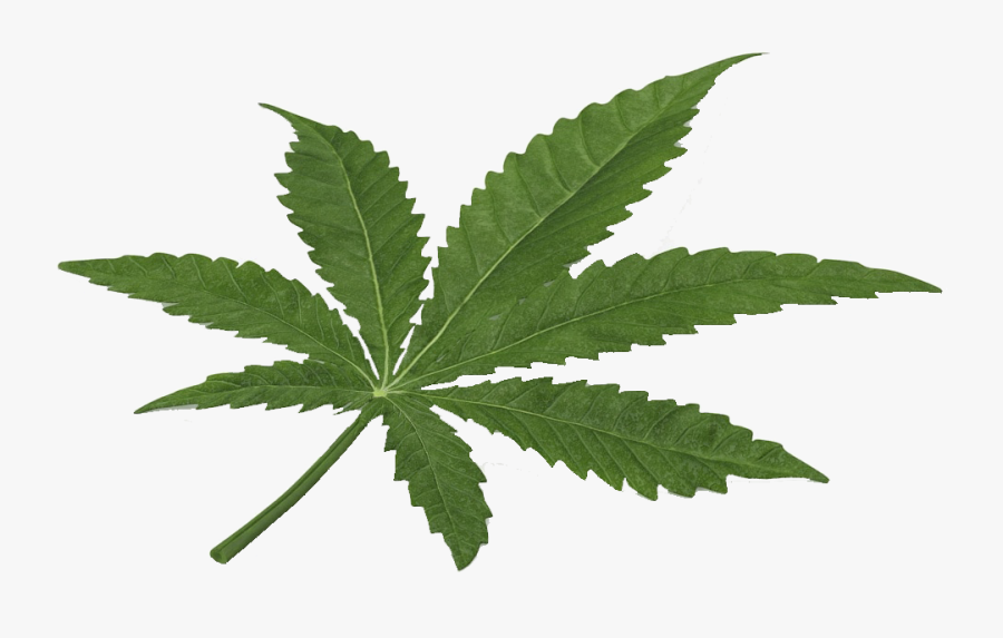 Marijuana Leaf Cannabis Hd Png - Mlg Weed, Transparent Clipart