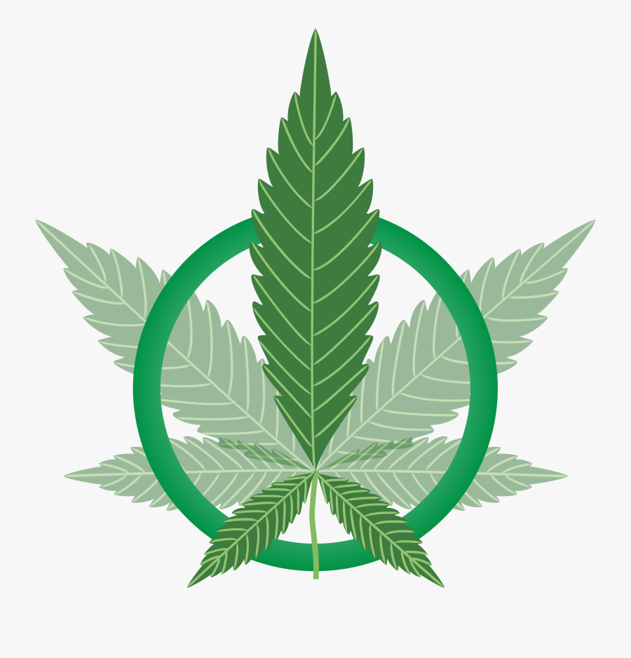 Cannabis Clipart , Png Download - Marijuana Png , Free Transparent