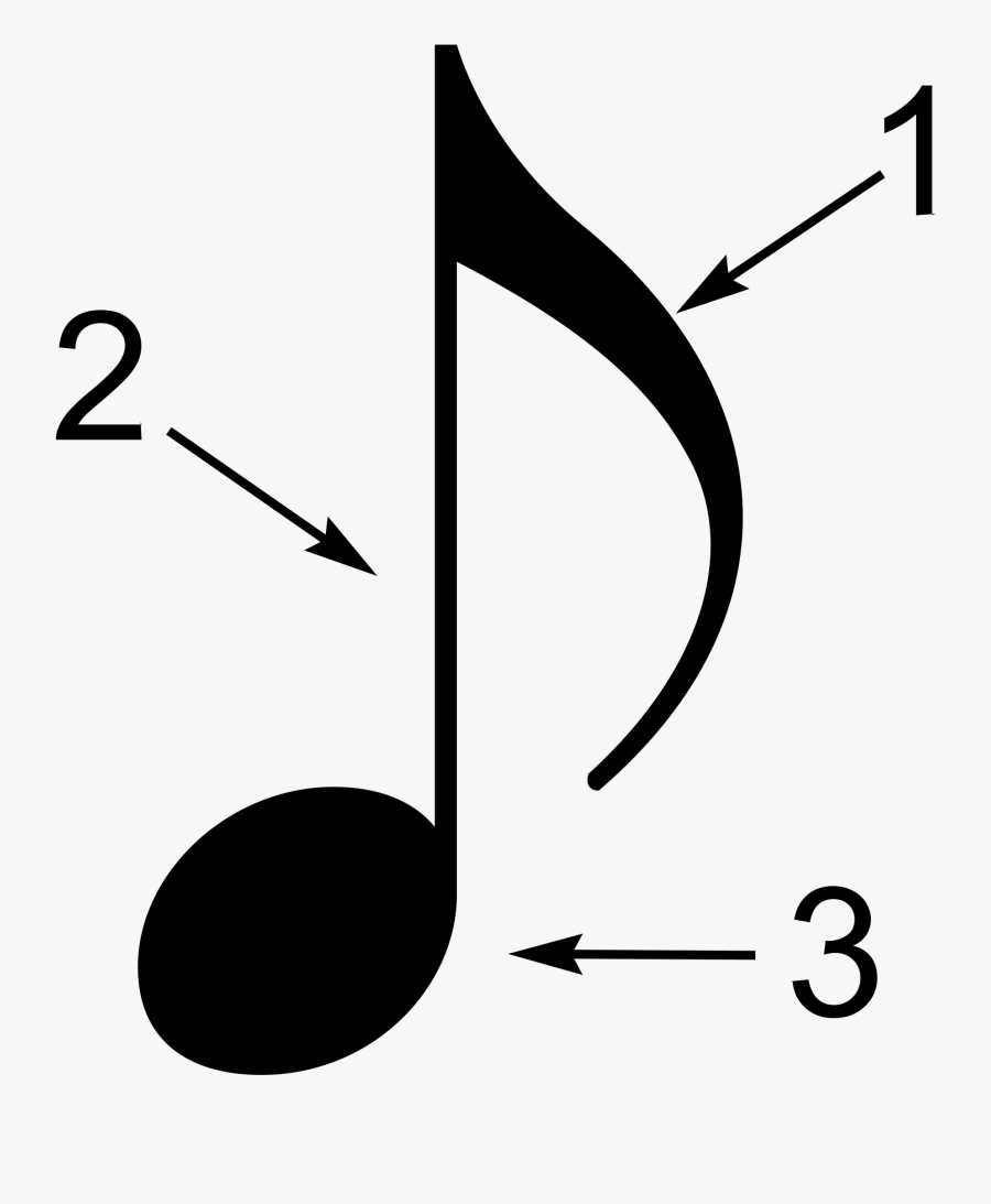 Pictures Of A Musical Note 22, Buy Clip Art - Parts Of A Note In Music, Transparent Clipart