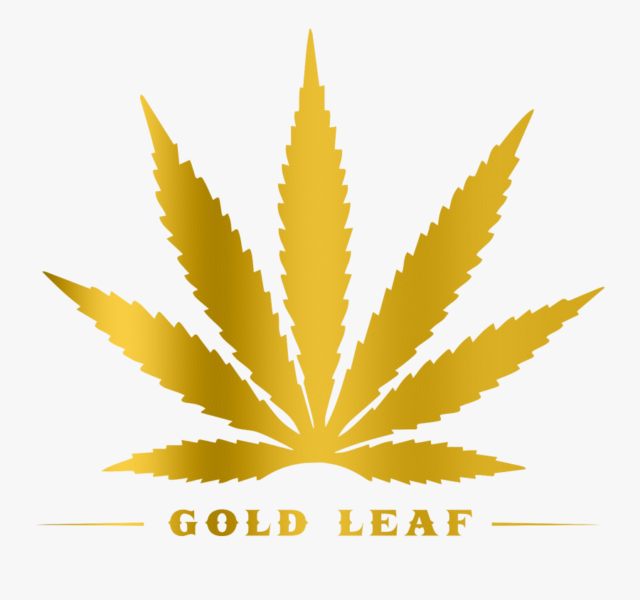 Gold Leaf Beer - Toronto Maple Leafs Marijuana , Free Transparent