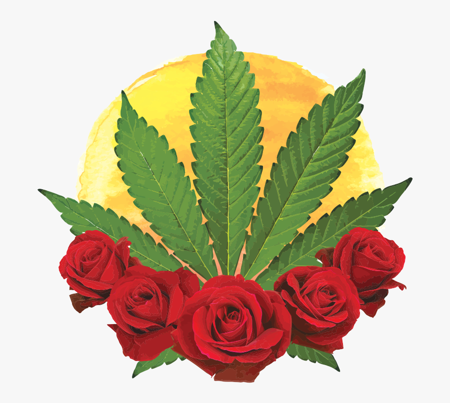 Positive Roots Garden - Planta De La Marihuana Dibujo, Transparent Clipart