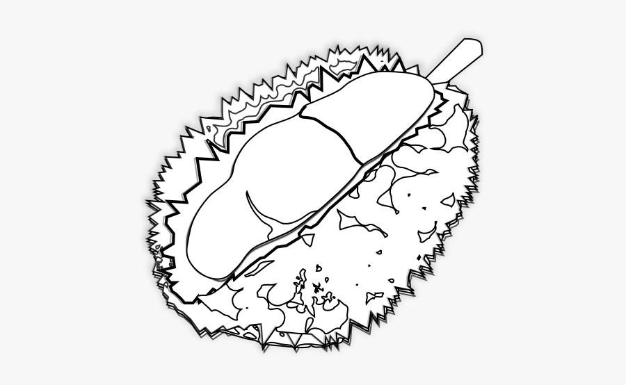 Food Durian Durian Black White Line Art 555px - Durian Clipart Black And White, Transparent Clipart