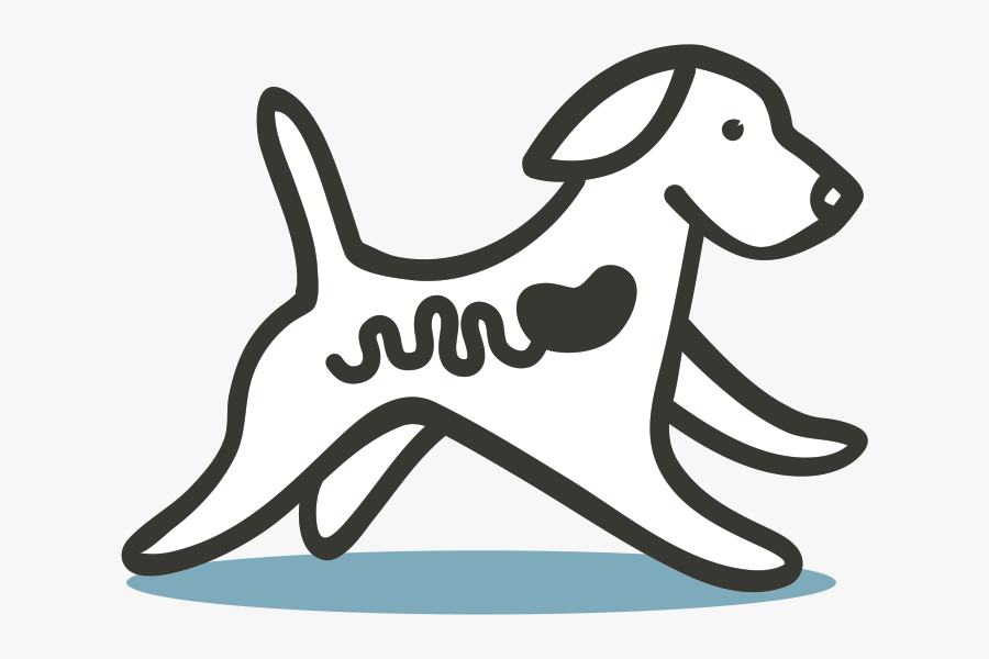 Dog Digestive System Transparent, Transparent Clipart