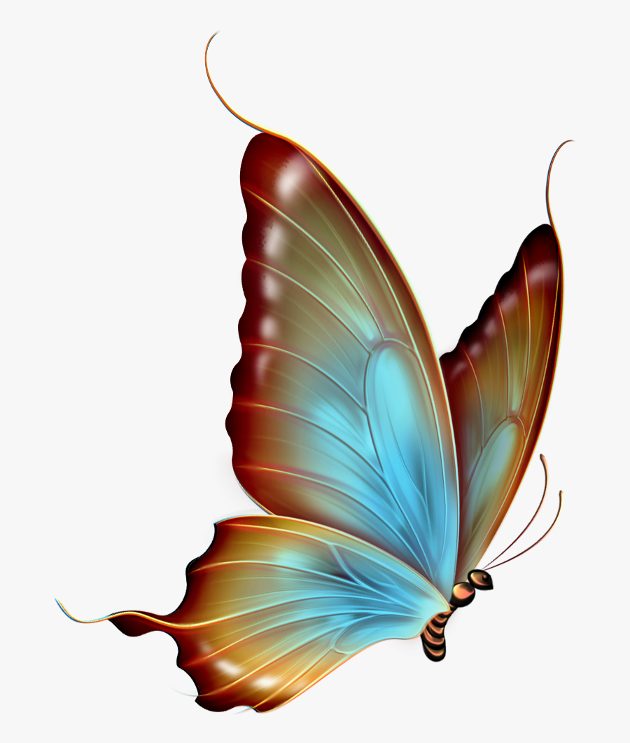 Image png transparent. Бабочка рисунок. Сказочные бабочки на прозрачном фоне. Бабочки для фотошопа. Красивые бабочки на прозрачном фоне.