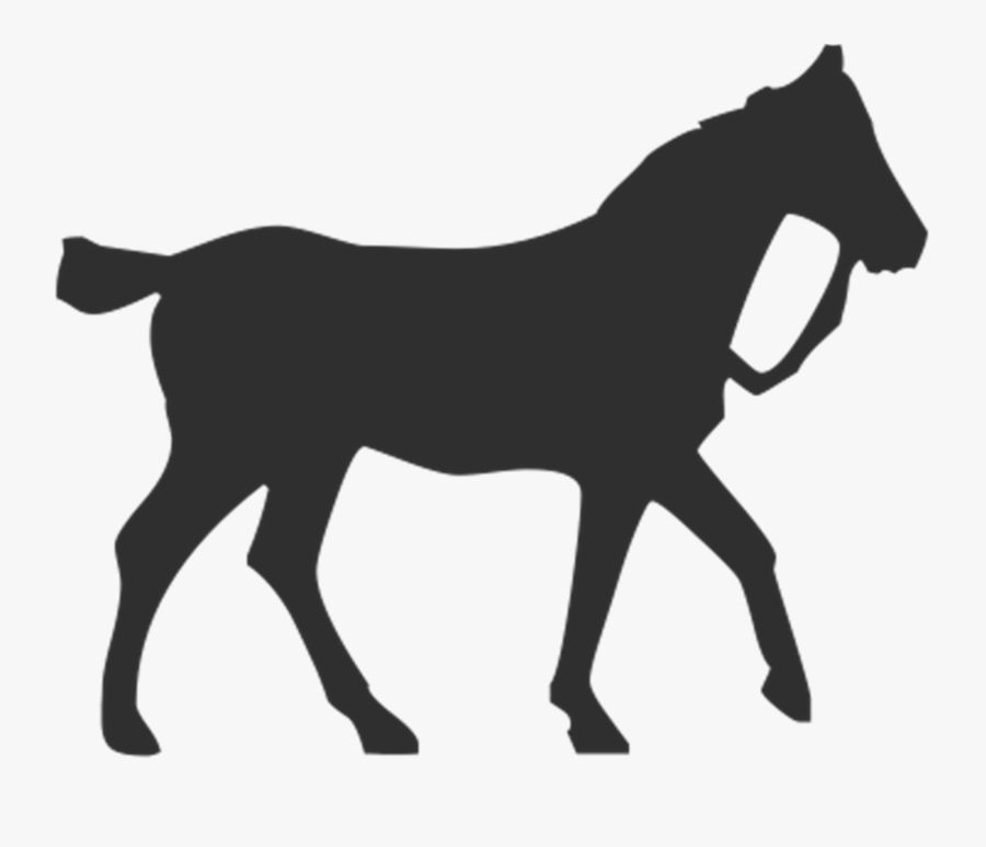 Horse Gallop Equestrian Free Picture - Horse, Transparent Clipart