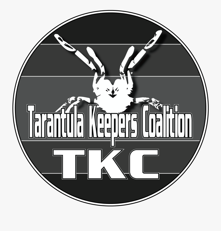 Tkc Logo - Tarantula Keeper's Coalition, Transparent Clipart