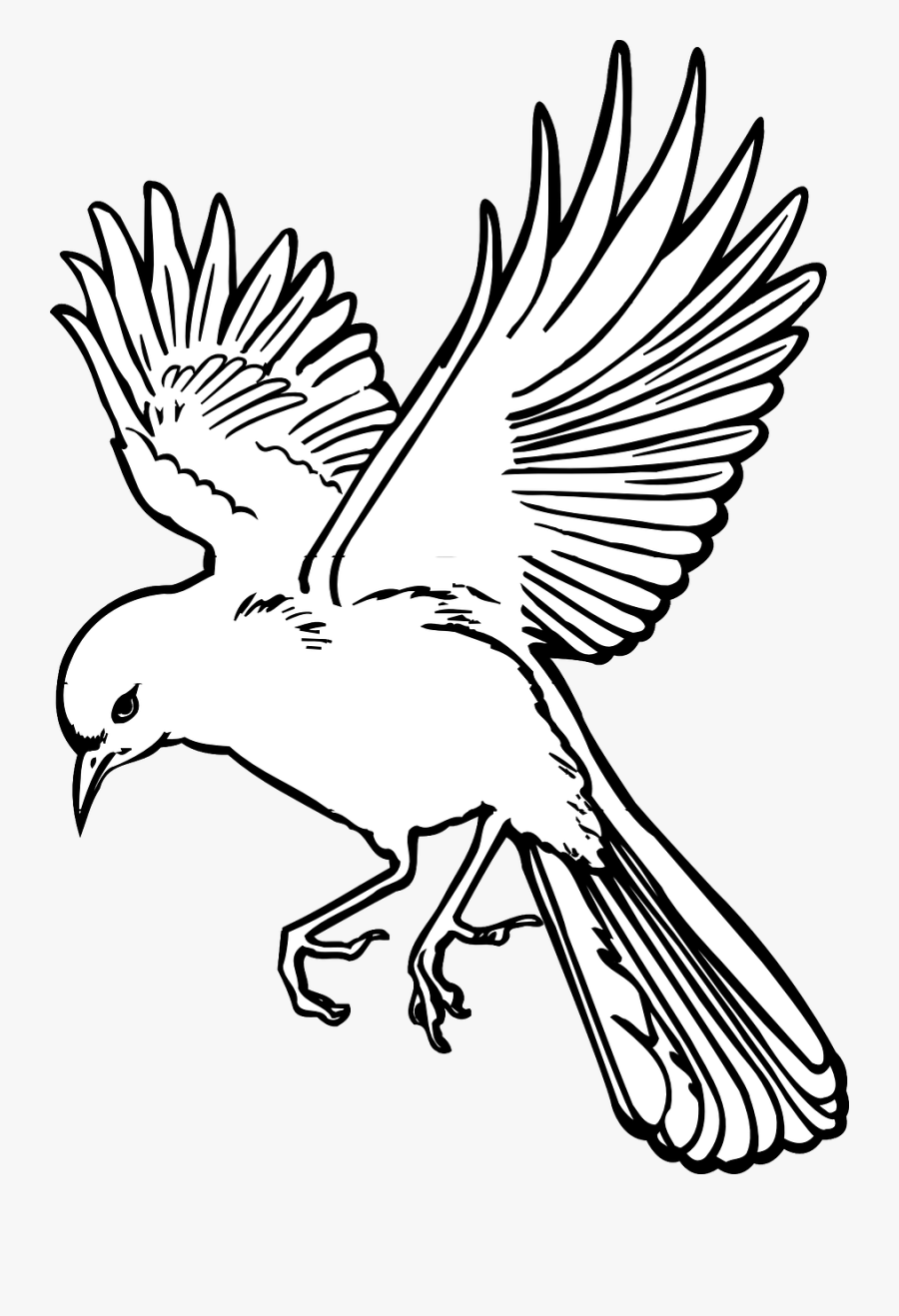 Vector Graphics - Line Drawing Bird Flying, Transparent Clipart