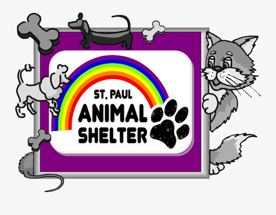 Paul Animal Shelter Looking For Volunteers - Rhyme About A Cat, Transparent Clipart