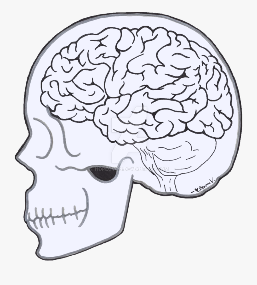 Thoughts Drawing Deep - Brain And Skull Clipart Black And White, Transparent Clipart