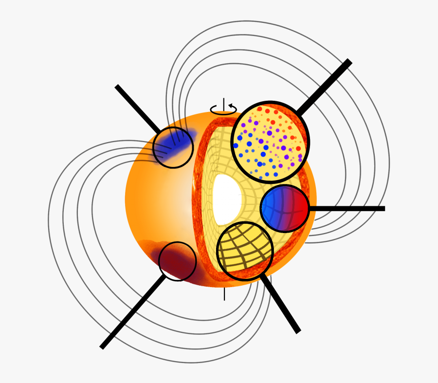 Composicion Quimica De Las Estrellas, Transparent Clipart