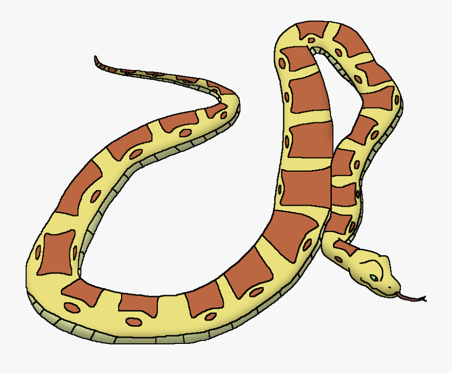 Wildlife Animal Pedia Wiki - Reticulated Python Cartoon, Transparent Clipart